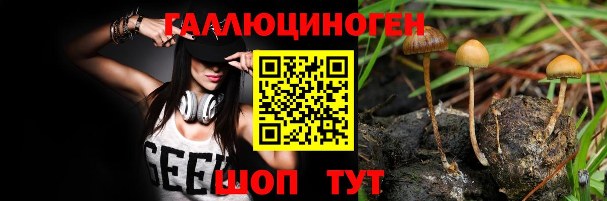 Галлюциногенные грибы Magic Shrooms  Вход с VPN  Алушта 